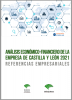 Análisis Económico-Financiero de la Empresa de Castilla y León 2021